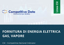 Fornitura di Energia Elettrica, Gas, Vapore