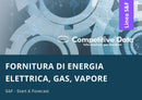 Fornitura di Energia Elettrica, Gas, Vapore