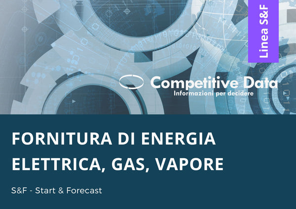 Fornitura di Energia Elettrica, Gas, Vapore