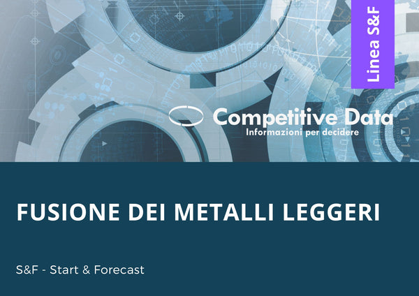Fusione dei Metalli Leggeri