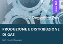 Produzione e Distribuzione di Gas