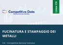 Fucinatura e Stampaggio dei Metalli