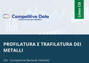 Profilatura e Trafilatura dei Metalli